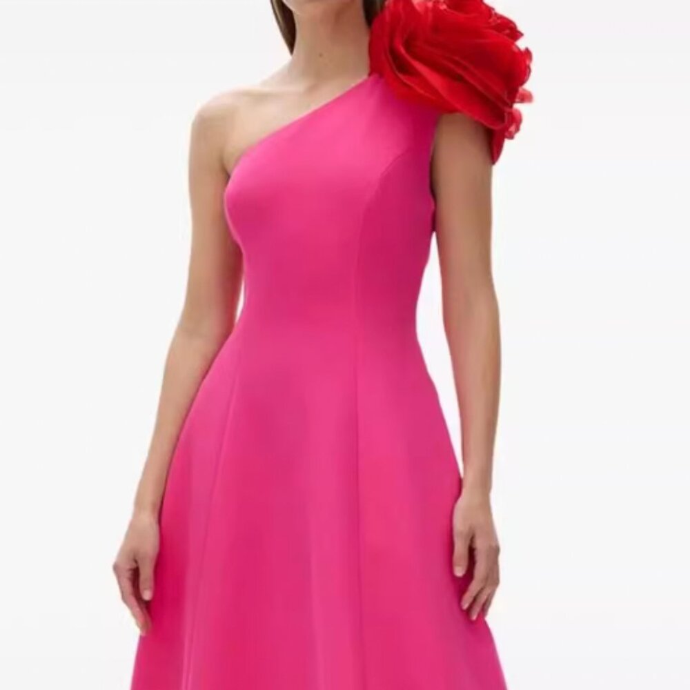 Rachel Gilbert Vya Maxi Dress Gown US8/10/12 Pink One Shoulder Floral Appliqué - Picture 3 of 4